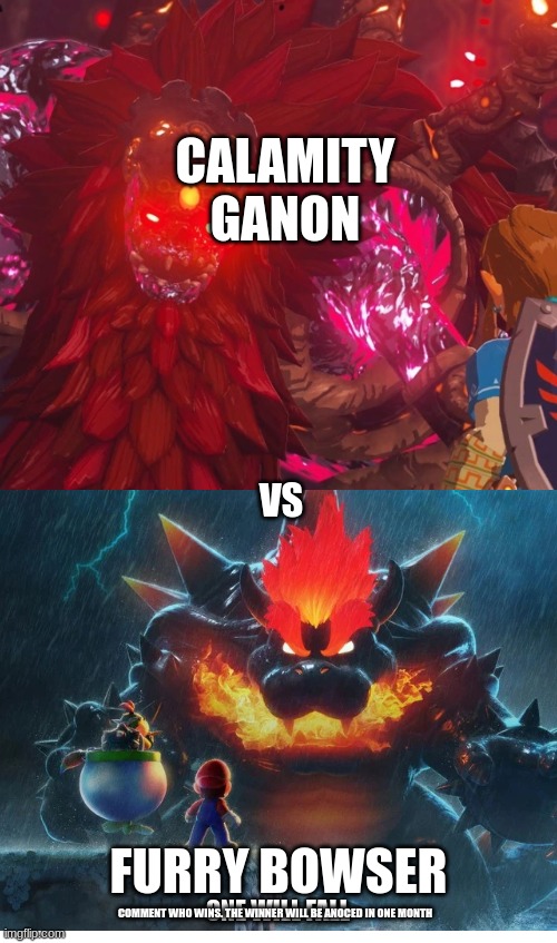  CALAMITY GANON; VS; FURRY BOWSER; ONE WILL FALL; COMMENT WHO WINS. THE WINNER WILL BE ANOCED IN ONE MONTH | image tagged in blank square | made w/ Imgflip meme maker