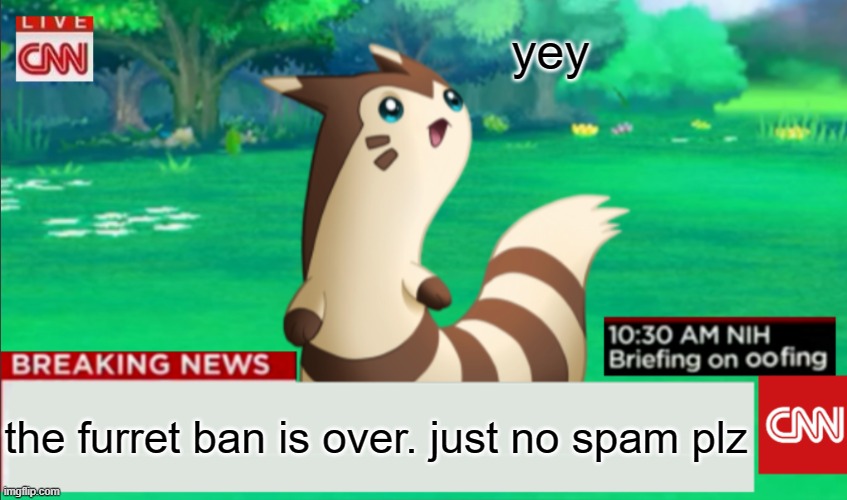 also an uptdate to submission rules | yey; the furret ban is over. just no spam plz | image tagged in breaking news furret,no ban | made w/ Imgflip meme maker