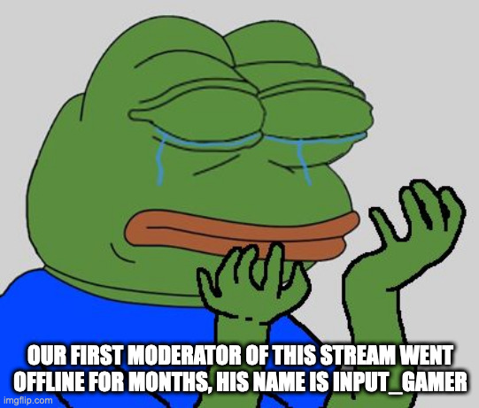 I hope he's okay | OUR FIRST MODERATOR OF THIS STREAM WENT OFFLINE FOR MONTHS, HIS NAME IS INPUT_GAMER | image tagged in pepe cry | made w/ Imgflip meme maker