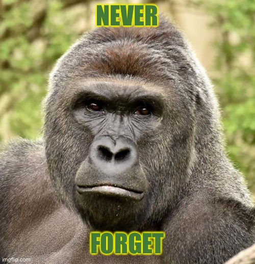 Har | NEVER FORGET | image tagged in har | made w/ Imgflip meme maker