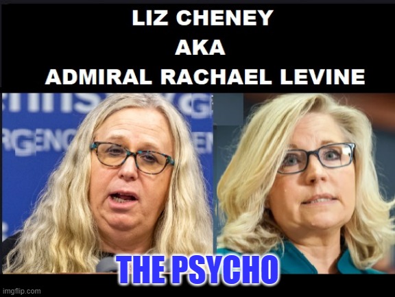 Liz Cheney the Psycho | THE PSYCHO | image tagged in republicans,rino,psycho | made w/ Imgflip meme maker
