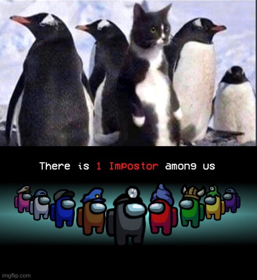 yes | image tagged in there is one impostor among us,cat,penguin,barney will eat all of your delectable biscuits | made w/ Imgflip meme maker