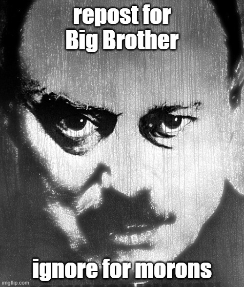 repost for Big Brother | repost for Big Brother; ignore for morons | image tagged in the big brother | made w/ Imgflip meme maker