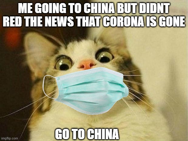 what will happen if corona virus got cured in 1 week | ME GOING TO CHINA BUT DIDNT RED THE NEWS THAT CORONA IS GONE; GO TO CHINA | image tagged in memes,scared cat | made w/ Imgflip meme maker