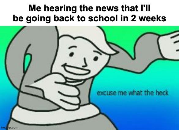 Bye guys, it's been fun... 2 weeks later | Me hearing the news that I'll be going back to school in 2 weeks | image tagged in excuse me what the heck | made w/ Imgflip meme maker