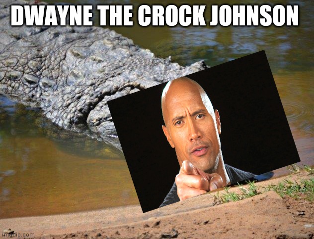 Crocodile | DWAYNE THE CROCK JOHNSON | image tagged in crocodile | made w/ Imgflip meme maker