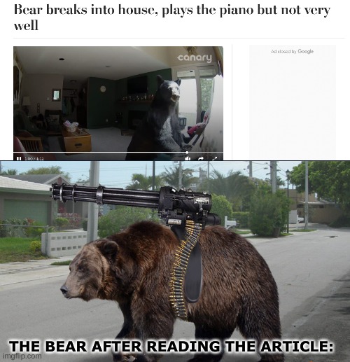 This is society now, always judging people. |  THE BEAR AFTER READING THE ARTICLE: | image tagged in oh wow are you actually reading these tags,angry bear,piano,random tag | made w/ Imgflip meme maker