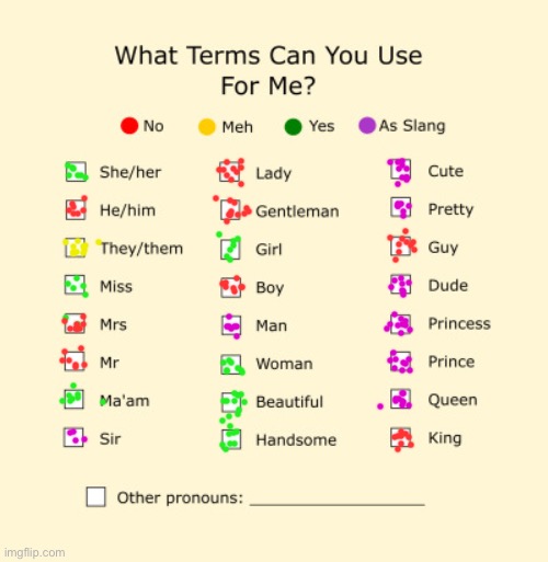 My pronouns | image tagged in pronouns sheet,lesbian,handsome | made w/ Imgflip meme maker