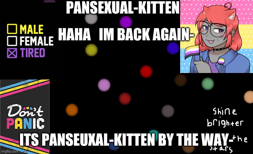 ;w; | HAHA   IM BACK AGAIN-; ITS PANSEUXAL-KITTEN BY THE WAY- | image tagged in pansexual-kitten | made w/ Imgflip meme maker