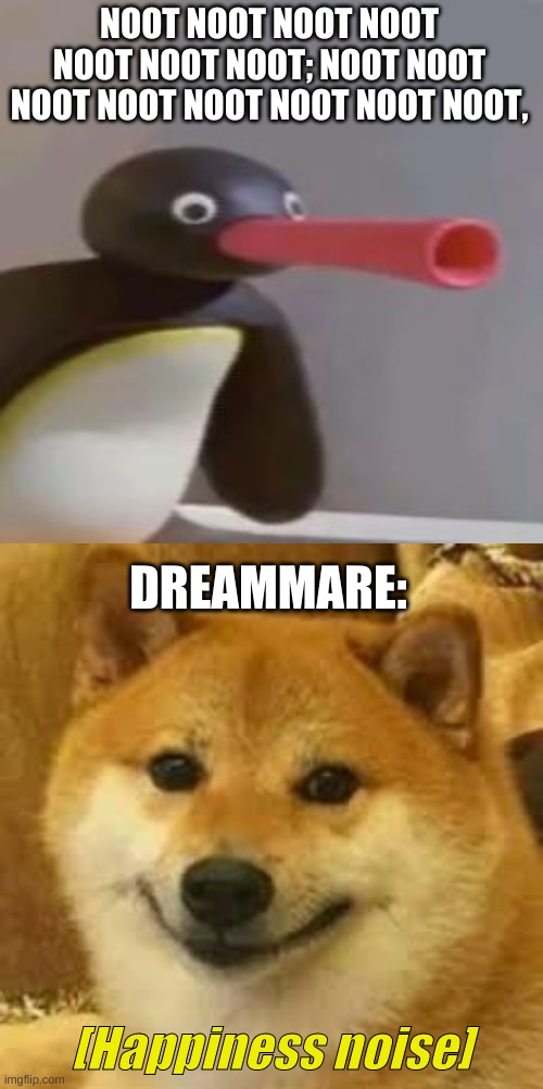 NOOT NOOT NOOT NOOT NOOT NOOT NOOT; NOOT NOOT NOOT NOOT NOOT NOOT NOOT NOOT, DREAMMARE: | image tagged in noot noot,shibe | made w/ Imgflip meme maker