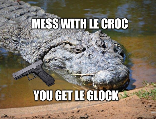 Crocodile | YOU GET LE GLOCK MESS WITH LE CROC | image tagged in crocodile | made w/ Imgflip meme maker