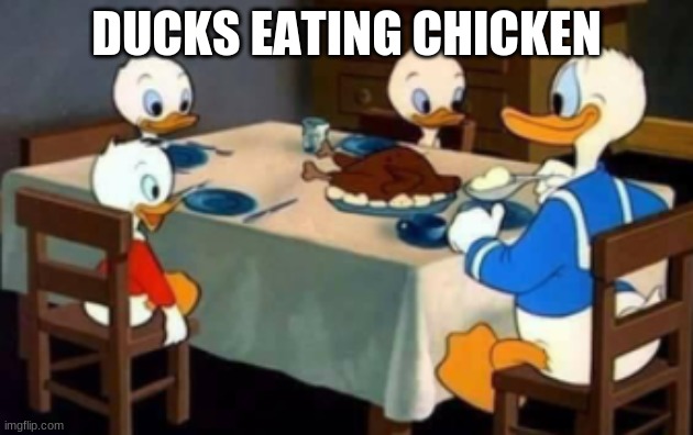 wat? | DUCKS EATING CHICKEN | made w/ Imgflip meme maker
