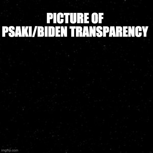 transparency - rohb/rupe | PICTURE OF PSAKI/BIDEN TRANSPARENCY | image tagged in psaki,joe biden | made w/ Imgflip meme maker