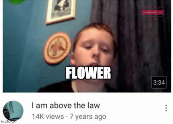 I am above the law | FLOWER | image tagged in i am above the law | made w/ Imgflip meme maker