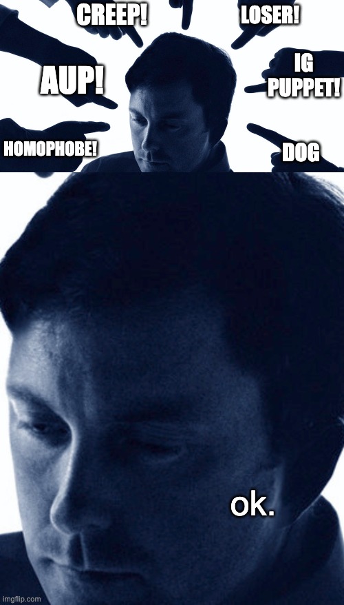 ok. | IG PUPPET! CREEP! LOSER! AUP! HOMOPHOBE! DOG; ok. | image tagged in unfunny | made w/ Imgflip meme maker