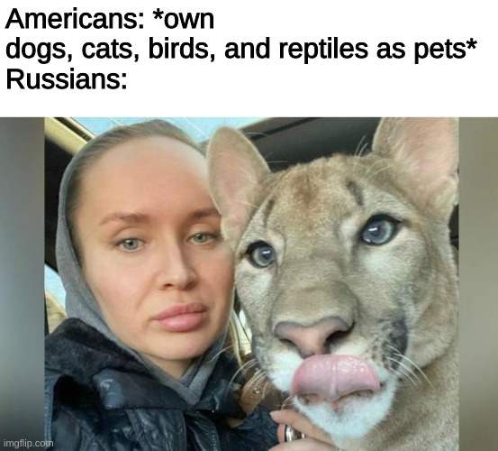 i laughed so hard when i saw this | Americans: *own dogs, cats, birds, and reptiles as pets*
Russians: | image tagged in russians | made w/ Imgflip meme maker