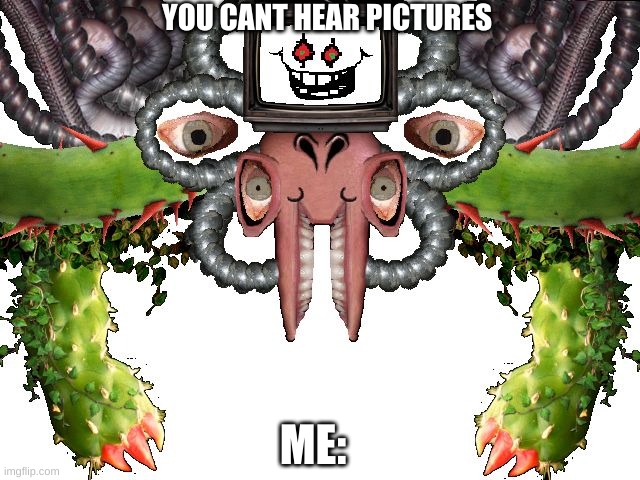 Omega Flowey | ME: YOU CANT HEAR PICTURES | image tagged in omega flowey | made w/ Imgflip meme maker