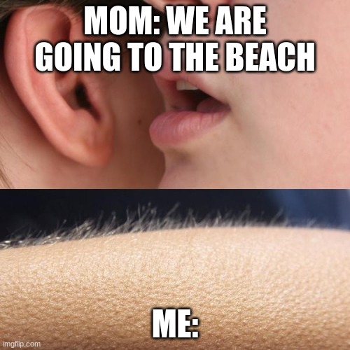 Whisper and Goosebumps | MOM: WE ARE GOING TO THE BEACH; ME: | image tagged in whisper and goosebumps | made w/ Imgflip meme maker