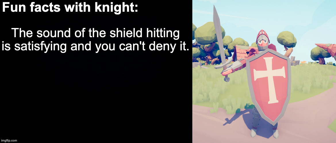 Really |  The sound of the shield hitting is satisfying and you can't deny it. | image tagged in fun facts with knight | made w/ Imgflip meme maker