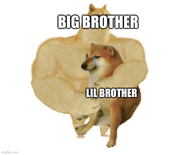 big brother doge hugging little brother cheems | LIL BROTHER BIG BROTHER | image tagged in big brother doge hugging little brother cheems | made w/ Imgflip meme maker