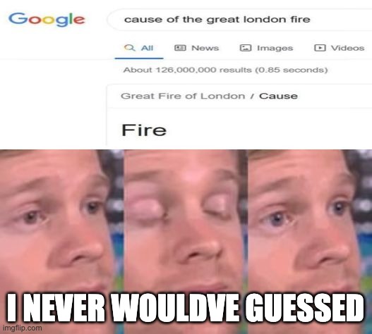 wow man who wouldve guessed a fire was the cause of the great london fire | I NEVER WOULDVE GUESSED | image tagged in nooo haha go brrr,brrr,bruh,oh wow are you actually reading these tags | made w/ Imgflip meme maker
