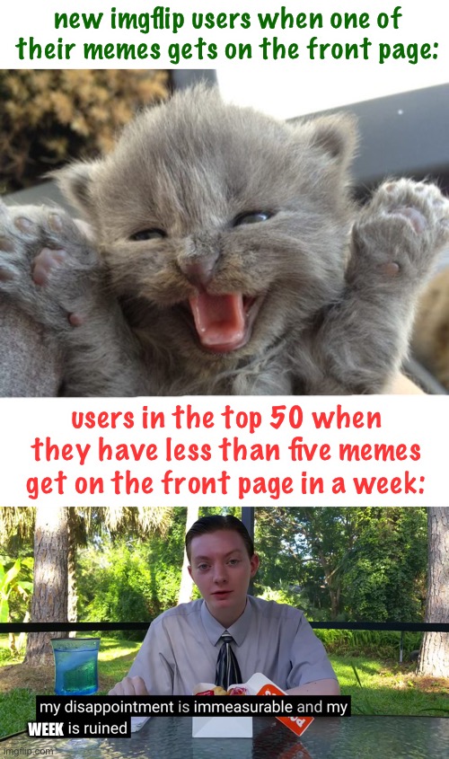 satisfaction differences | new imgflip users when one of their memes gets on the front page:; users in the top 50 when they have less than five memes get on the front page in a week:; WEEK | image tagged in yay kitty,my disappointment is immeasurable,imgflip,front page,imgflip users,this is a joke | made w/ Imgflip meme maker