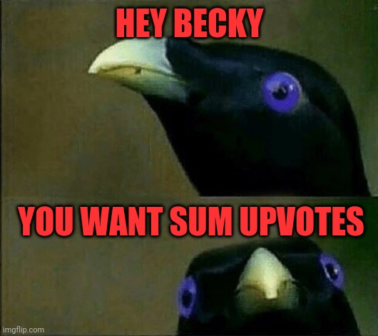 you want sum fuk | HEY BECKY; YOU WANT SUM UPVOTES | image tagged in you want sum fuk | made w/ Imgflip meme maker