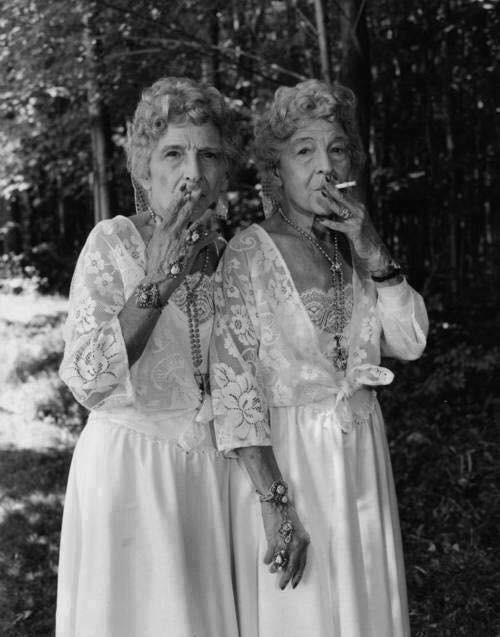 Senior Camel Shaggers | image tagged in camels,feeding the camels,senior moments | made w/ Imgflip meme maker