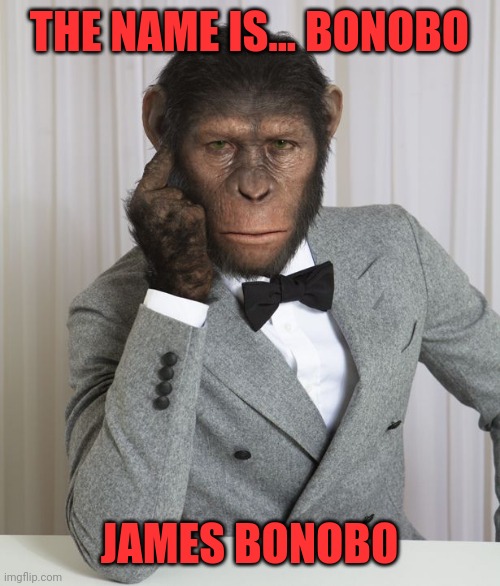 Pimp chimpin | THE NAME IS... BONOBO; JAMES BONOBO | image tagged in pimp chimpin | made w/ Imgflip meme maker