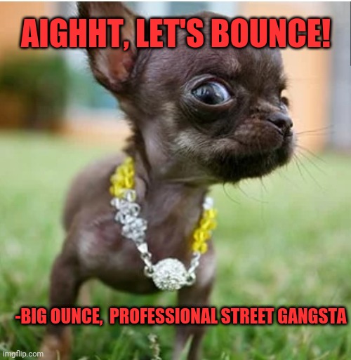 Big pimpin | AIGHHT, LET'S BOUNCE! -BIG OUNCE,  PROFESSIONAL STREET GANGSTA | image tagged in big pimpin | made w/ Imgflip meme maker