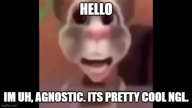Boy What the Hell Boy | HELLO; IM UH, AGNOSTIC. ITS PRETTY COOL NGL. | image tagged in boy what the hell boy | made w/ Imgflip meme maker