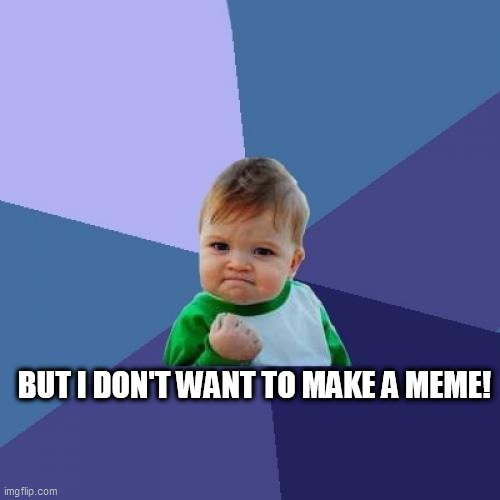 Success Kid Meme | BUT I DON'T WANT TO MAKE A MEME! | image tagged in memes,success kid | made w/ Imgflip meme maker
