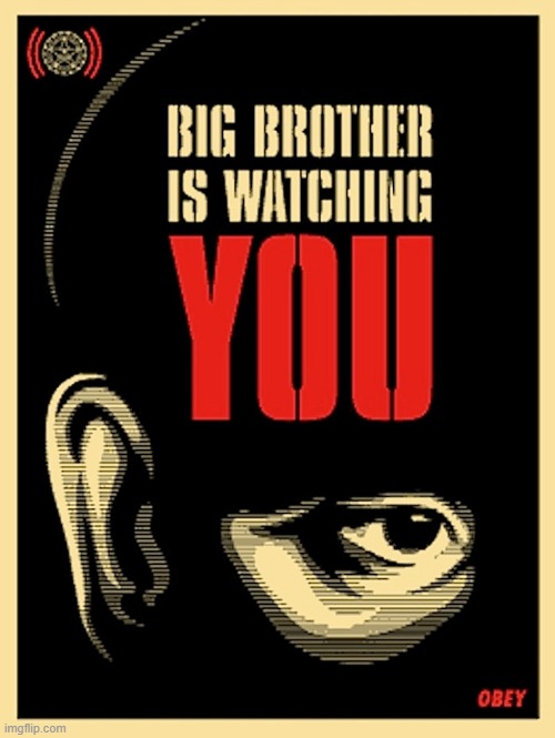 Big Brother is watching you | image tagged in big brother is watching you | made w/ Imgflip meme maker