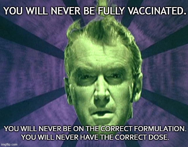 You will never be fully vaccinated. You will never be on the correct formulation. You will never have the correct dose. | YOU WILL NEVER BE FULLY VACCINATED. YOU WILL NEVER BE ON THE CORRECT FORMULATION.
YOU WILL NEVER HAVE THE CORRECT DOSE. | image tagged in vertigo | made w/ Imgflip meme maker