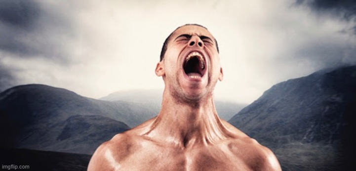 screaming guy | image tagged in screaming guy | made w/ Imgflip meme maker