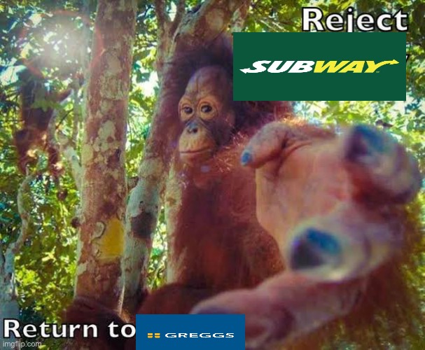 Return to monke | image tagged in return to monke | made w/ Imgflip meme maker