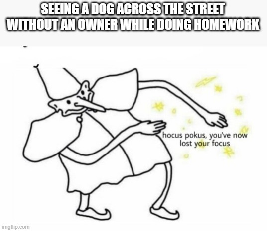 Concentrate! | SEEING A DOG ACROSS THE STREET WITHOUT AN OWNER WHILE DOING HOMEWORK | image tagged in hocus pocus lost your focus | made w/ Imgflip meme maker