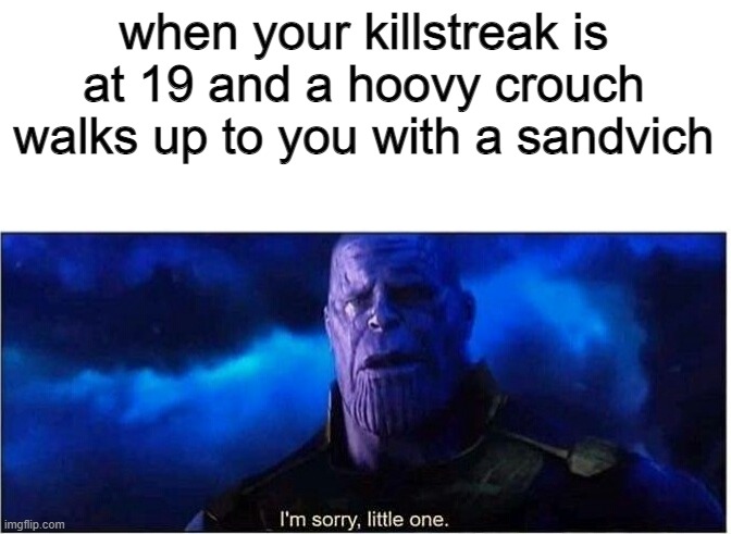 Thanos I'm sorry little one | when your killstreak is at 19 and a hoovy crouch walks up to you with a sandvich | image tagged in thanos i'm sorry little one | made w/ Imgflip meme maker