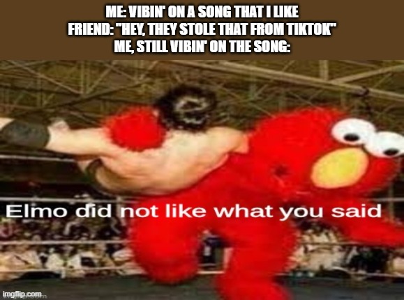Just vibin' | ME: VIBIN' ON A SONG THAT I LIKE
FRIEND: "HEY, THEY STOLE THAT FROM TIKTOK"
ME, STILL VIBIN' ON THE SONG: | image tagged in elmo did not like what you said,tik tok sucks | made w/ Imgflip meme maker