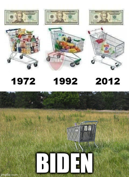 Biden Shortages | BIDEN | image tagged in inflation carts,shopping cart abandoned field | made w/ Imgflip meme maker