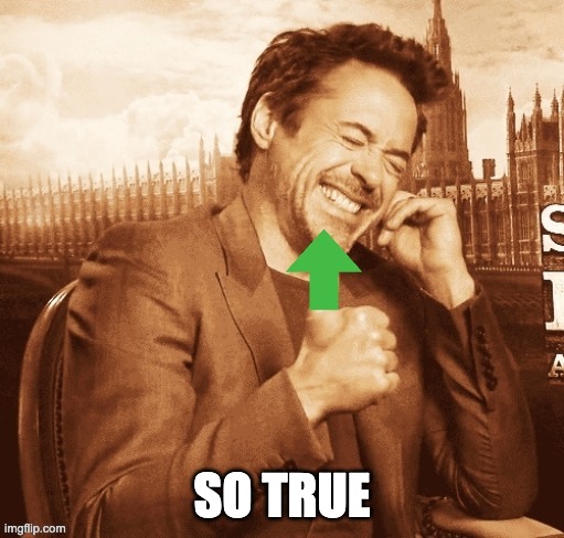 RDJ upvote | SO TRUE | image tagged in rdj upvote | made w/ Imgflip meme maker