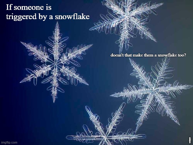 Snowflakes |  If someone is triggered by a snowflake; doesn't that make them a snowflake too? minkpen | image tagged in snowflakes,triggered,overly sensitive,insensitive | made w/ Imgflip meme maker