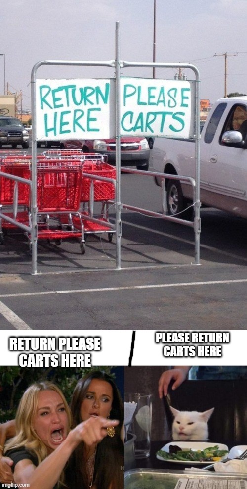 and you failed | RETURN PLEASE CARTS HERE; PLEASE RETURN CARTS HERE | image tagged in memes,woman yelling at cat | made w/ Imgflip meme maker