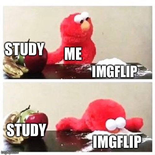 It true tho | STUDY; ME; IMGFLIP; STUDY; IMGFLIP | image tagged in elmo cocaine | made w/ Imgflip meme maker