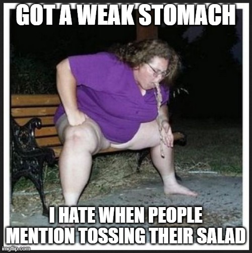 fat lady barf | GOT A WEAK STOMACH I HATE WHEN PEOPLE MENTION TOSSING THEIR SALAD | image tagged in fat lady barf | made w/ Imgflip meme maker