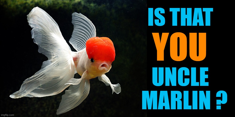 ▬▬ | IS THAT UNCLE
  MARLIN ? YOU | made w/ Imgflip meme maker
