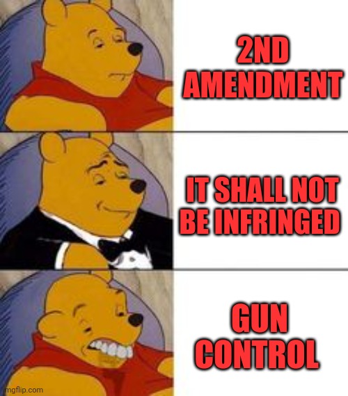 Winne the Poo | 2ND AMENDMENT; IT SHALL NOT BE INFRINGED; GUN CONTROL | image tagged in winne the poo | made w/ Imgflip meme maker