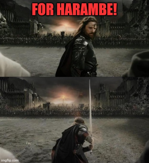 Aragorn in battle | FOR HARAMBE! | image tagged in aragorn in battle | made w/ Imgflip meme maker