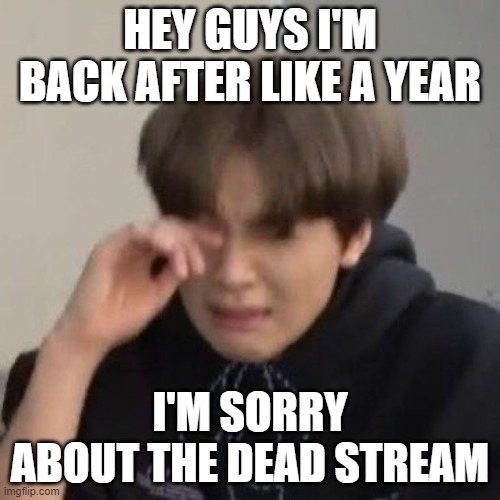 I'm the Owner BTW... |  HEY GUYS I'M BACK AFTER LIKE A YEAR; I'M SORRY ABOUT THE DEAD STREAM | image tagged in haechan crying,sorry,dead,kpop,crying,sad | made w/ Imgflip meme maker