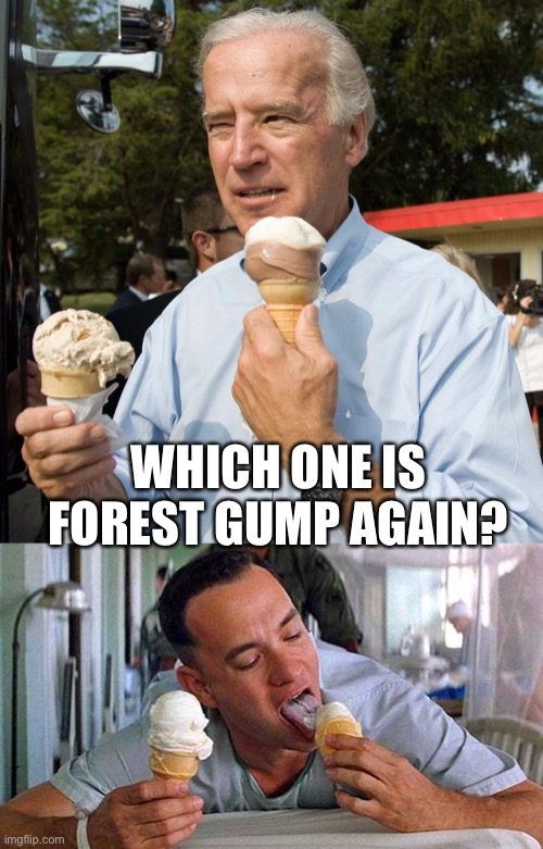 Forest Gumption | WHICH ONE IS FOREST GUMP AGAIN? | image tagged in funny,movies,forest gump,climate change,news | made w/ Imgflip meme maker